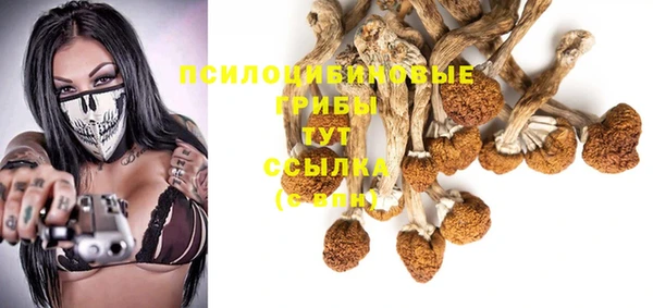 скорость Алзамай