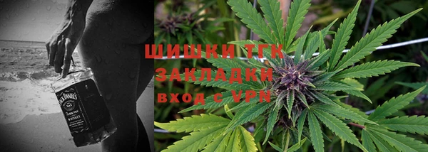ешки Алексин